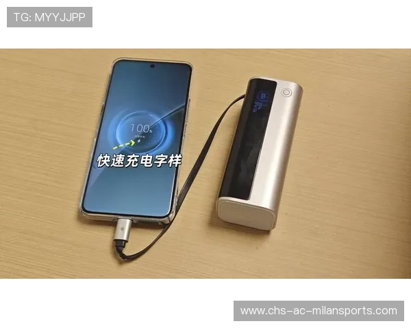 充电宝产业链将如何应对安全危机？，充电宝产业发展和状况