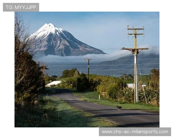 新西兰的节奏感太强，打得干净利落，“新西兰”
